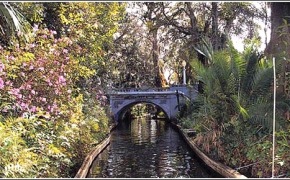 photo1
